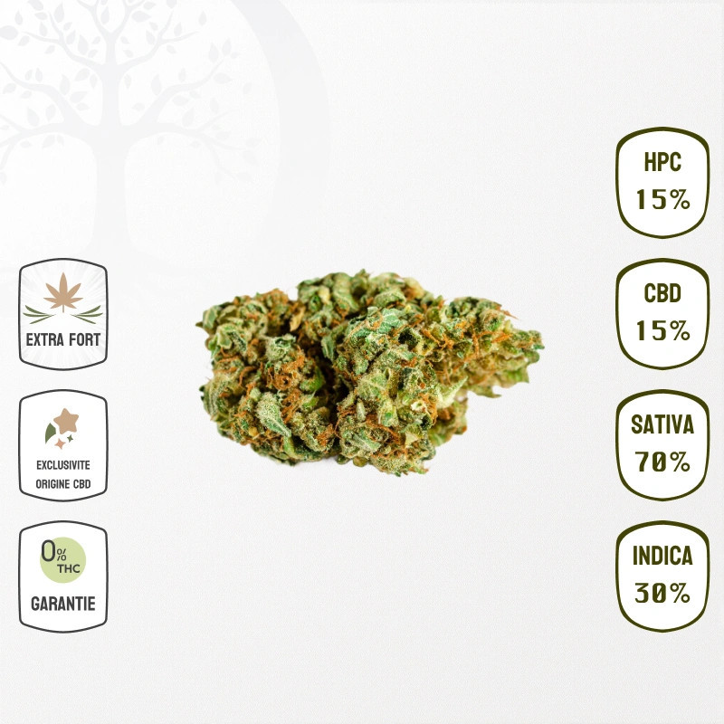 Acapulco Gold 15 % CBD & 15 % HPC (Sans THC)