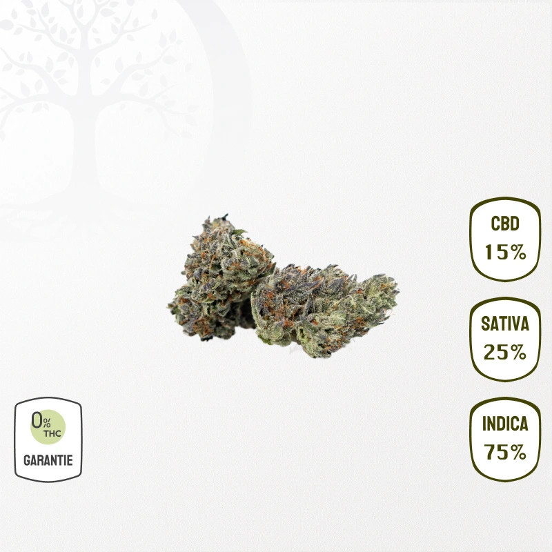 OG Kush 15 % CBD (Sans THC)