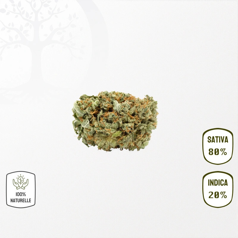 GrapeFruit CBD