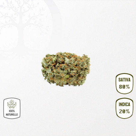 GrapeFruit CBD
