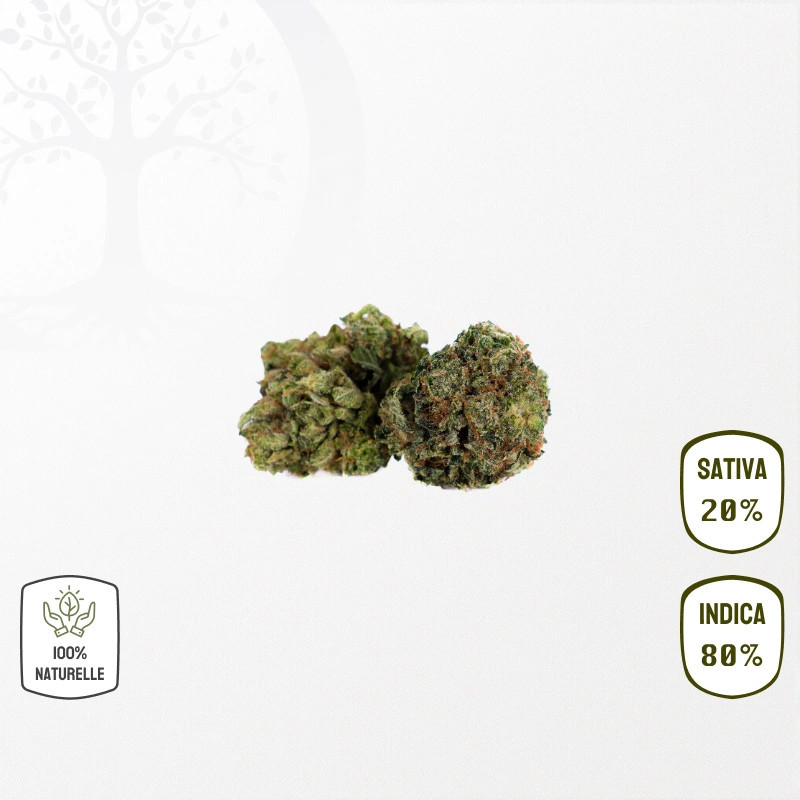 BZ1 CBD