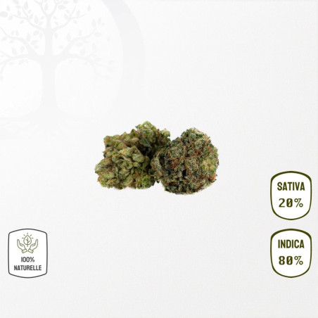 BZ1 CBD