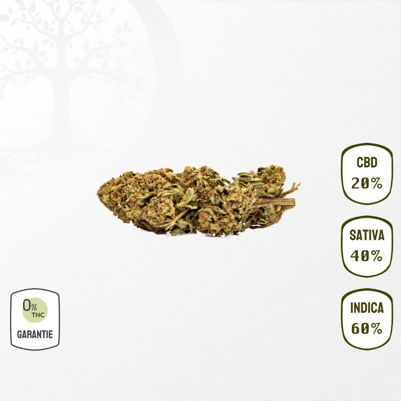 Lemon Berry 20 % CBD (Sans THC)