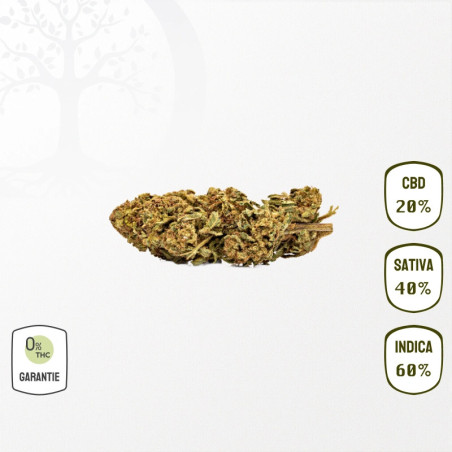 Lemon Berry 20 % CBD (Sans THC)