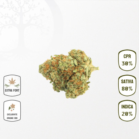 Blue Dream 30 % CPR