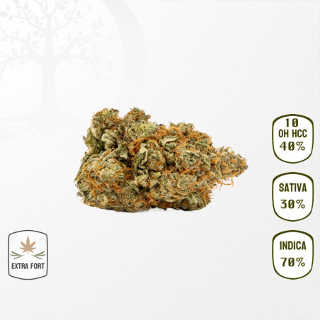 Kush Mints 40 % 10-OH-HHC