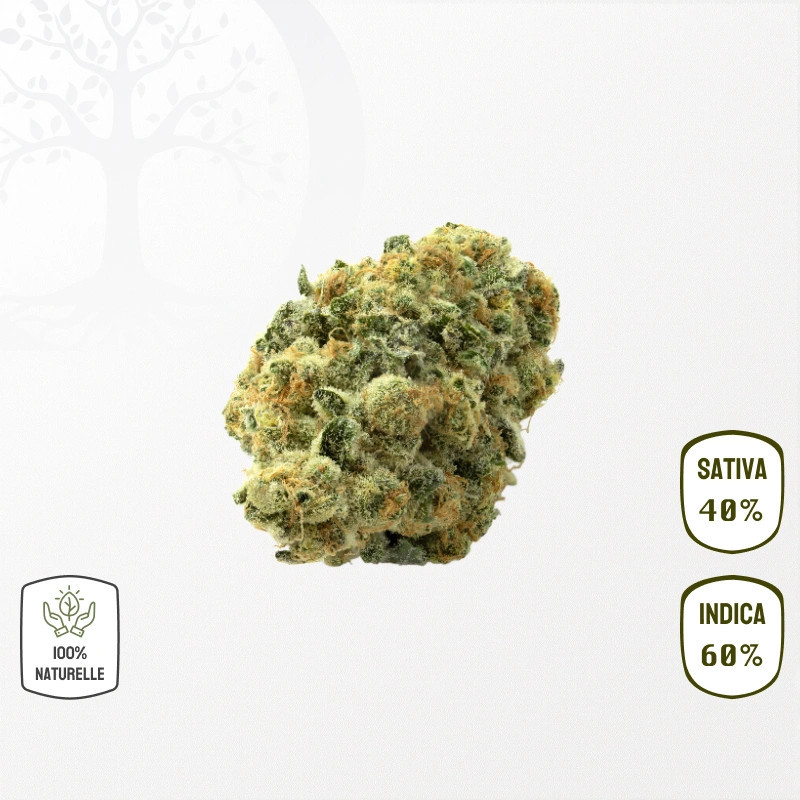Amnesia BIO CBD