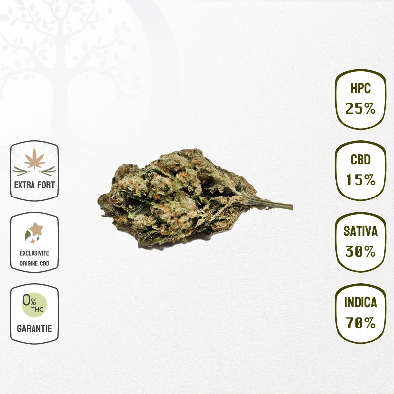 Mango Kush 15 % CBD & 25 % HPC (Sans THC)