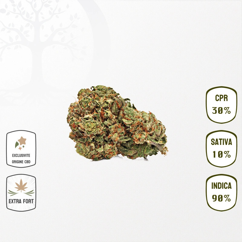 Wedding Gelato 30 % CPR