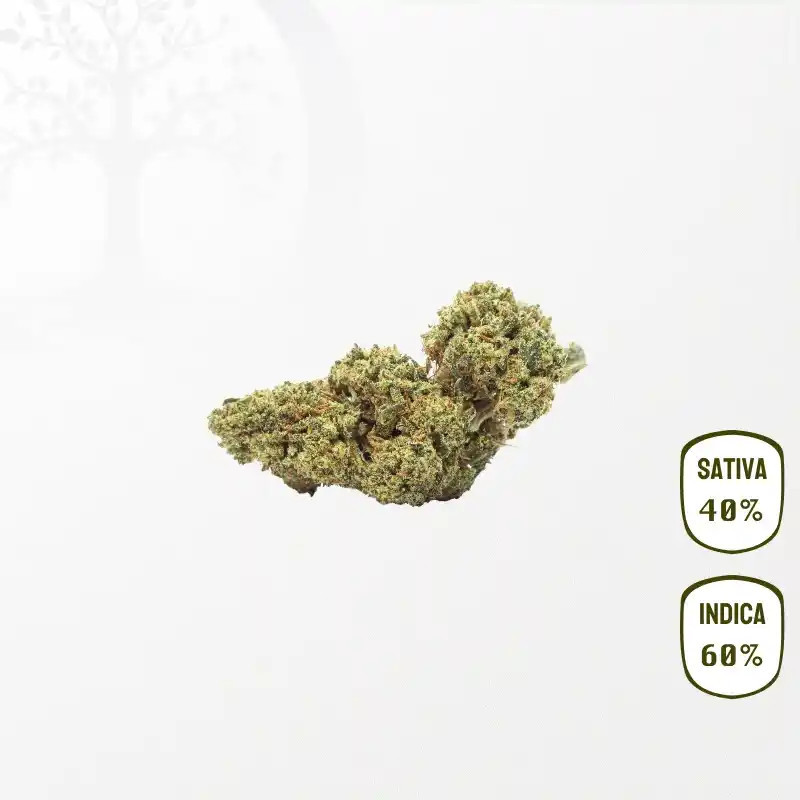 Banana Smash CBD 25 grammes
