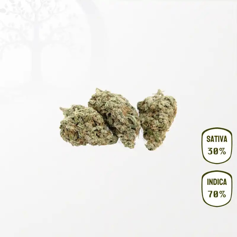 Alien Kush Bio CBD