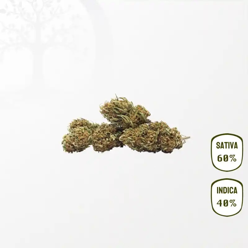 Sour Blueberry CBD