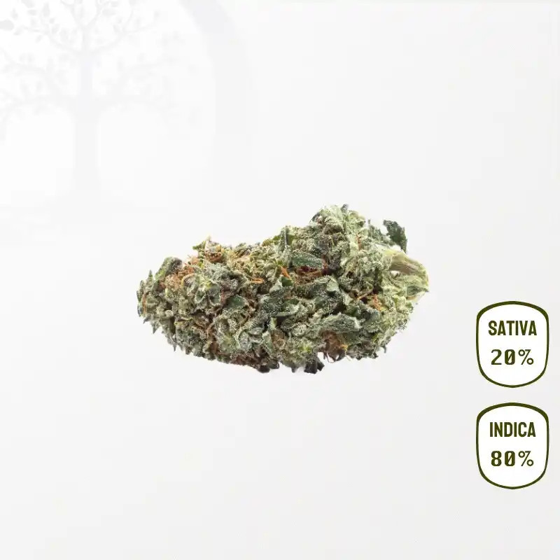 Wedding Cake CBD