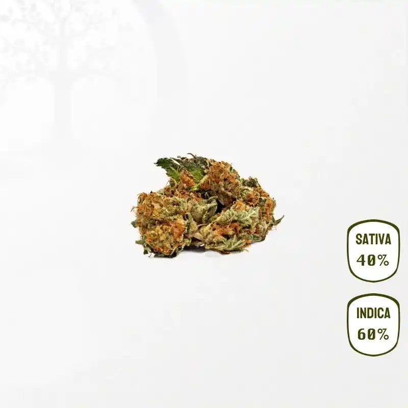 Purple Black CBD