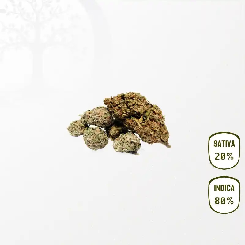 Critical Kush CBD