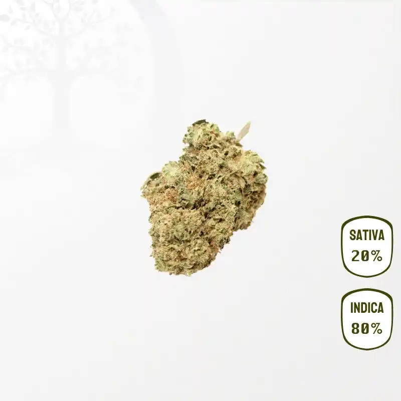 White Widow Kush CBD