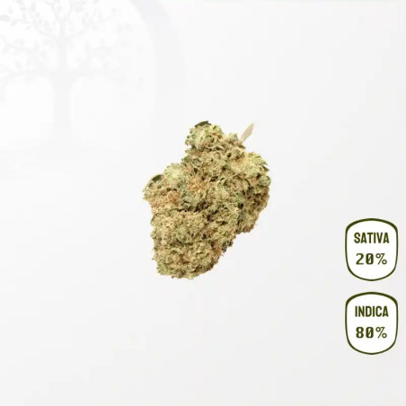 White Widow Kush CBD