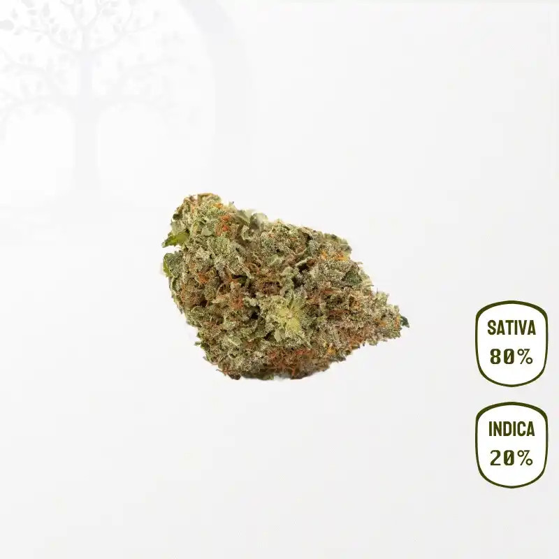 Orangello CBD