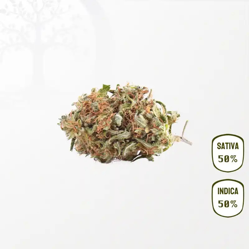 Bébé Yoda CBD