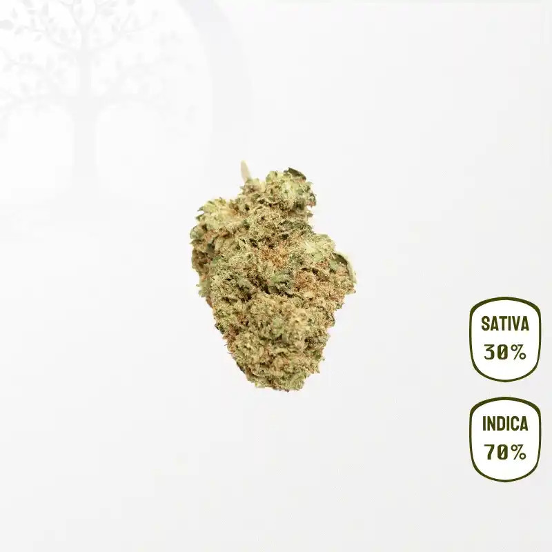 Cherry Kush CBD
