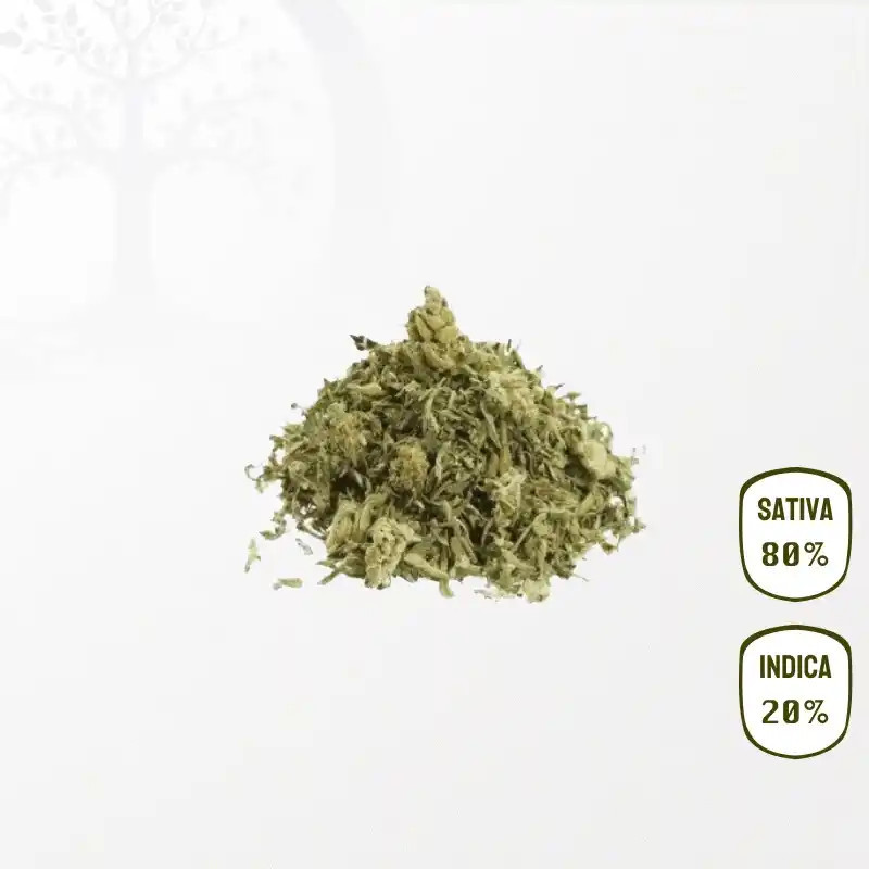 Trim White-Widow Haze Premium