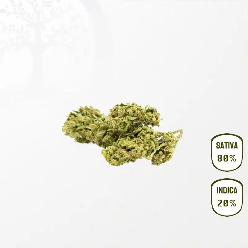 AK47 Haze CBD