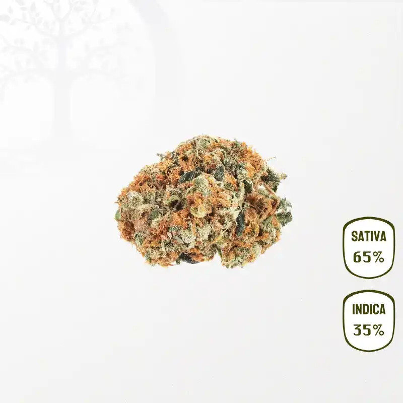 Bruce Banner Bio CBD
