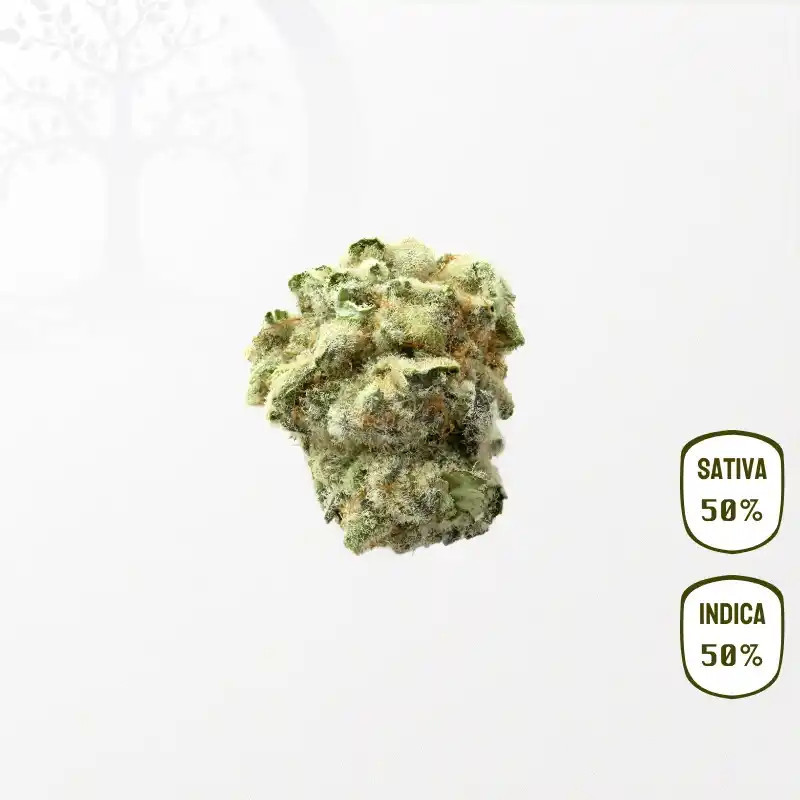 Cannatonic CBD