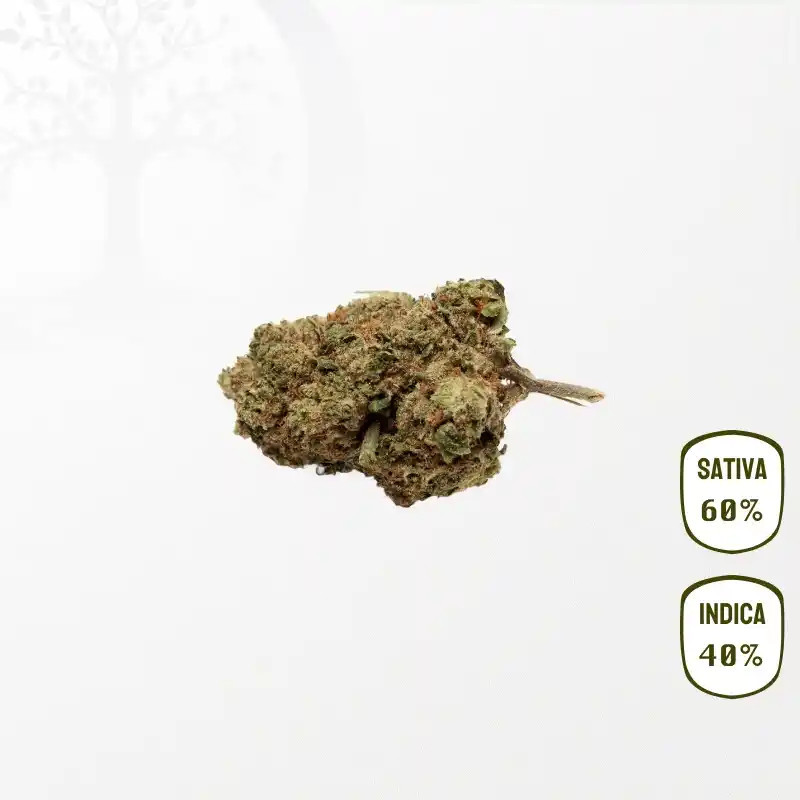 Lemon Candy CBD