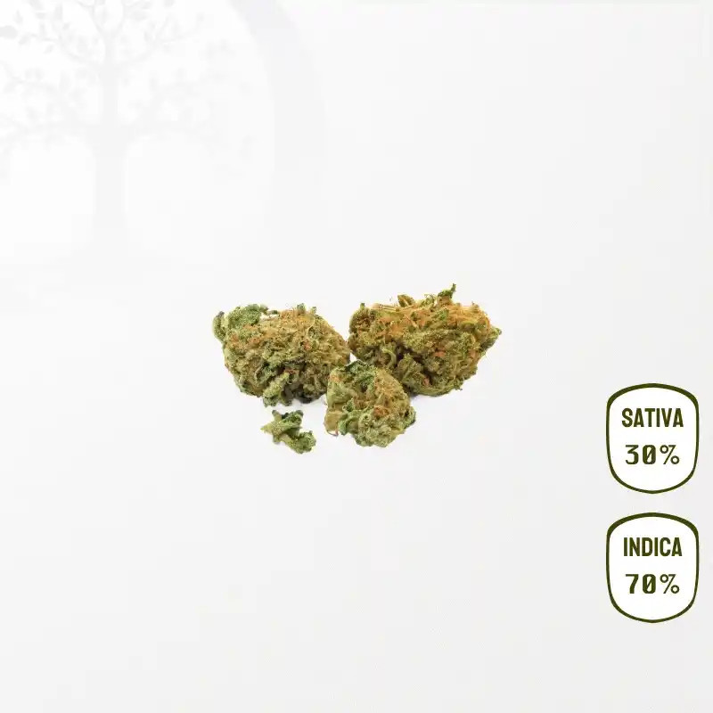 Cookies Kush CBD