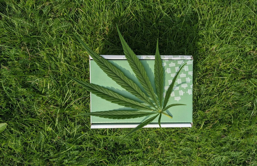 Le CBD en 2024 : quelles sont les tendances ?