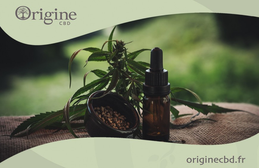 Comment Conserver Ses Produits A Base de CBD