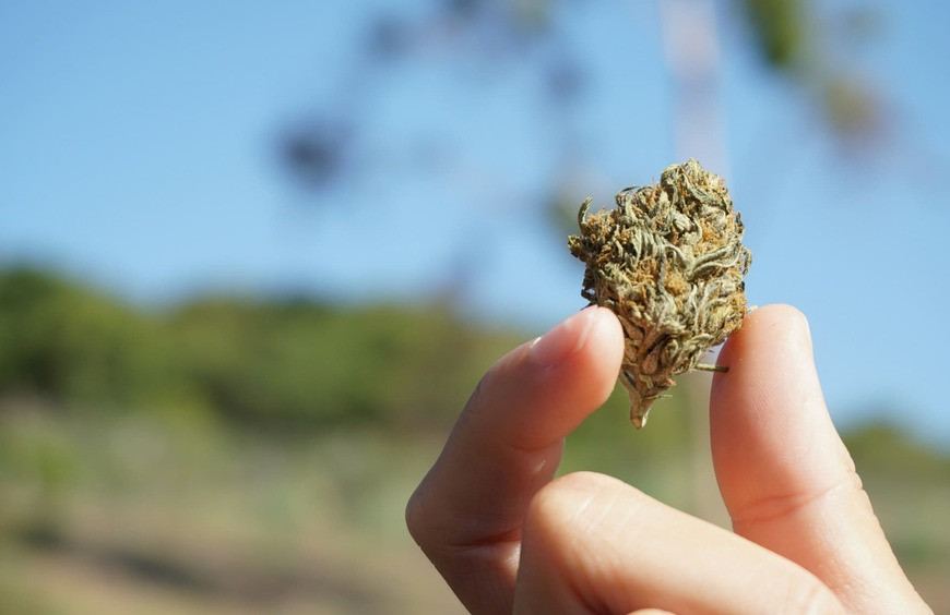 10-OH-HHC : Un Cannabinoïde Innovant