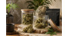 Meilleurs CBD Yoda en 2026
