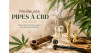 Meilleures pipes à CBD en 2026