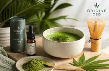 Matcha au CBD : Le mariage innovant du thé vert et du bien-être