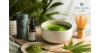 Matcha au CBD : Le mariage innovant du thé vert et du bien-être