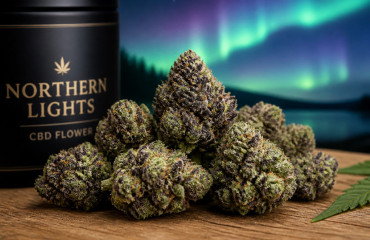 Meilleurs Northern Lights CBD en 2026