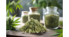 Meilleurs trims CBD en 2026