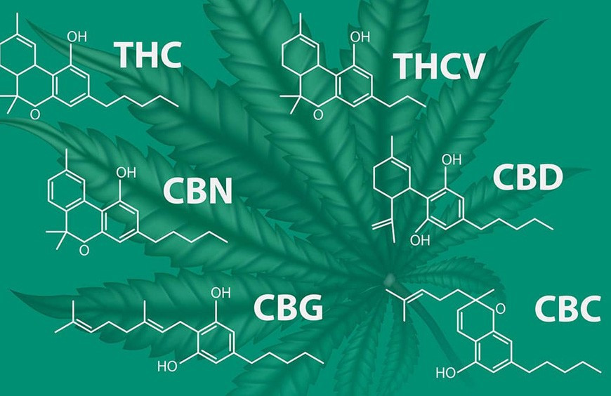 Quelle différence entre CBD et CBG ?