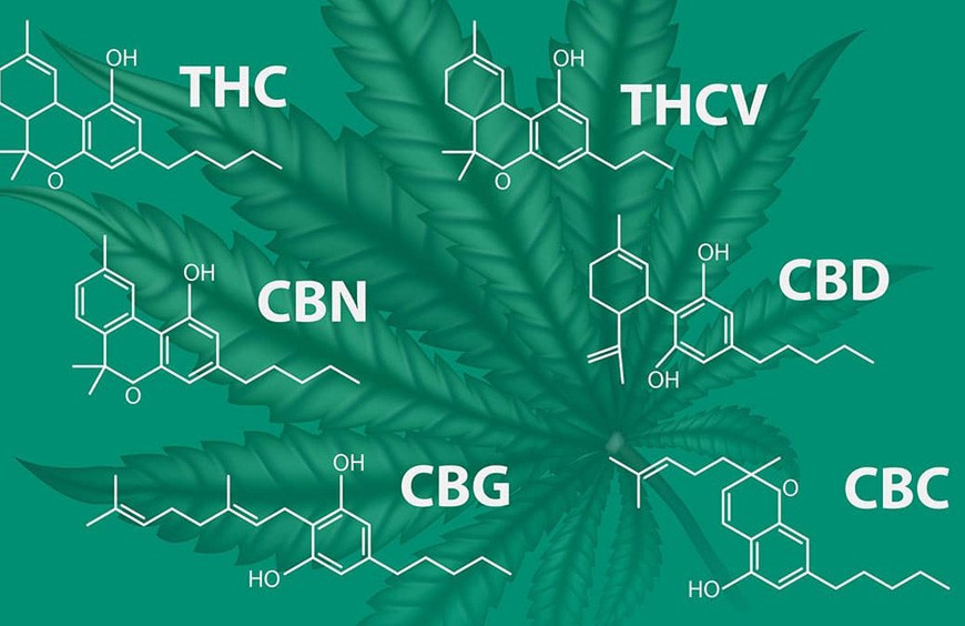 Les molécules CBD : HHC, H4CBD, CBD, CBN, CBG, THCP